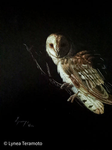 Spirit of Intuition (barn owl)