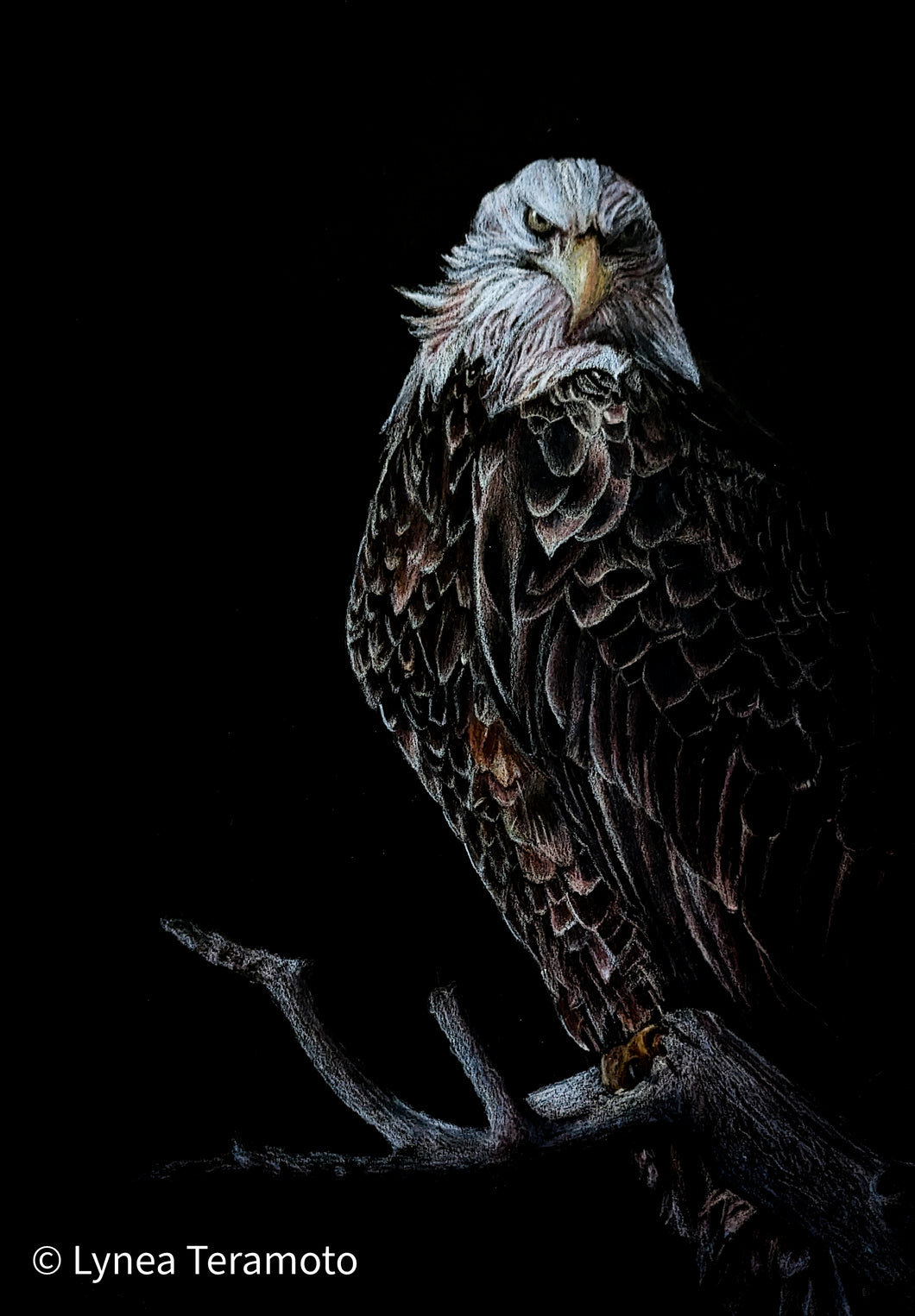 Spirit of Freedom (bald eagle)