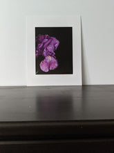 Load image into Gallery viewer, Iris #2