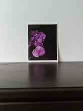Load image into Gallery viewer, Iris #2