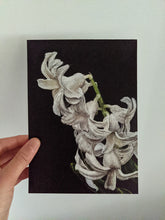 Load image into Gallery viewer, White Hyancinth