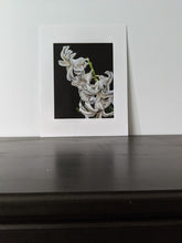 Load image into Gallery viewer, White Hyancinth